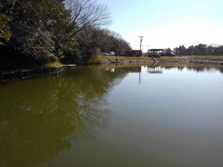 大安トラウトレイク 釣果